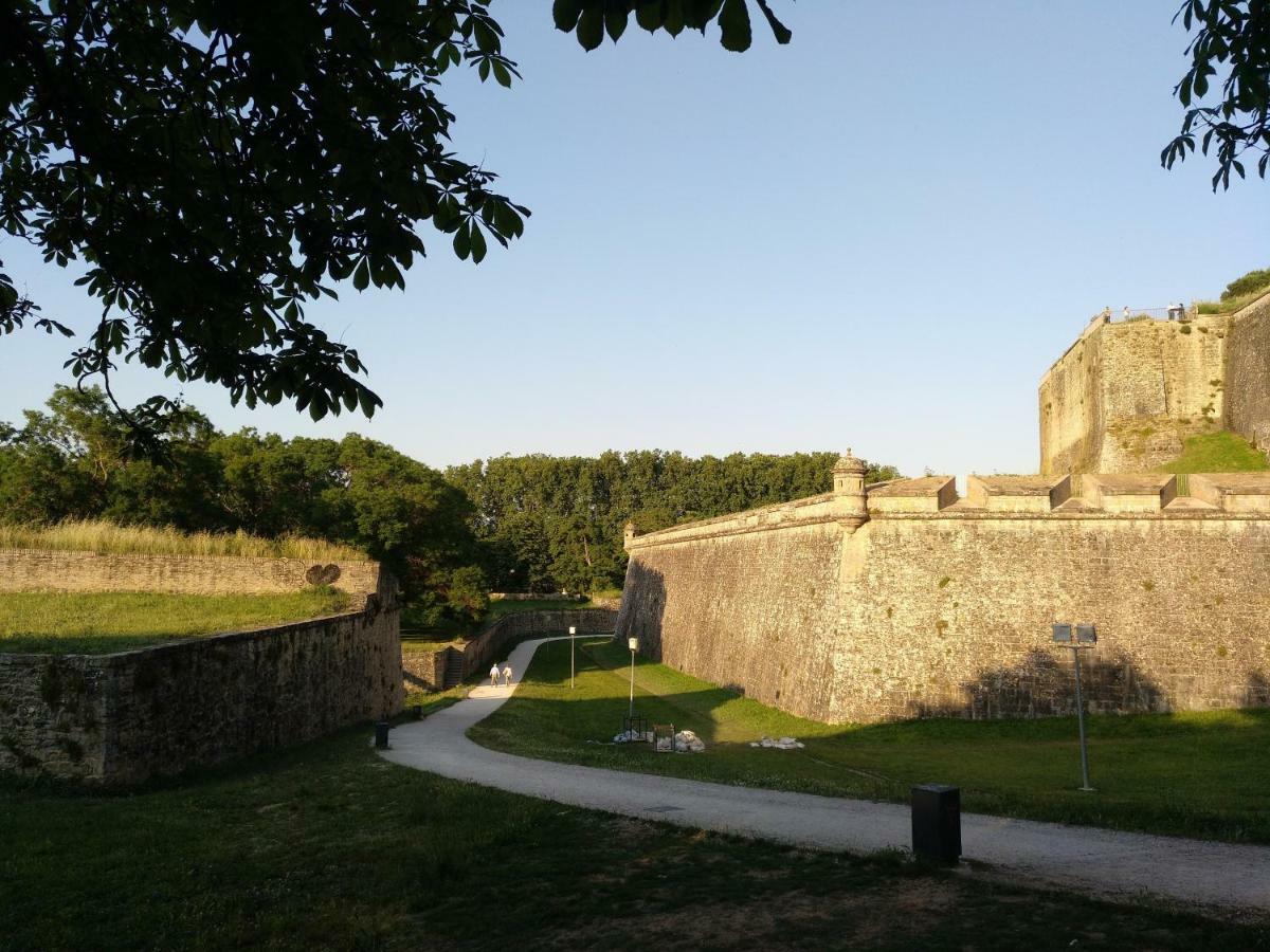 Апартаменты El Mirador De La Cuesta De Santo Domingo Памплона Экстерьер фото